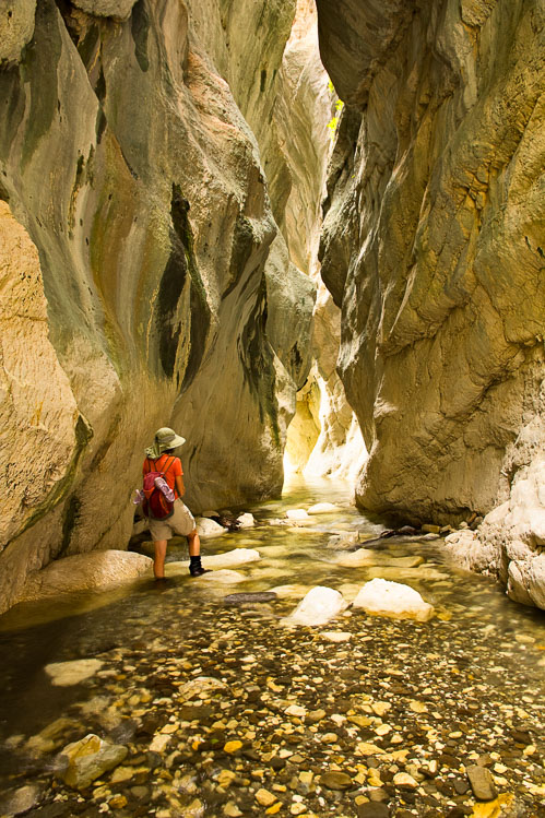New Zealand
